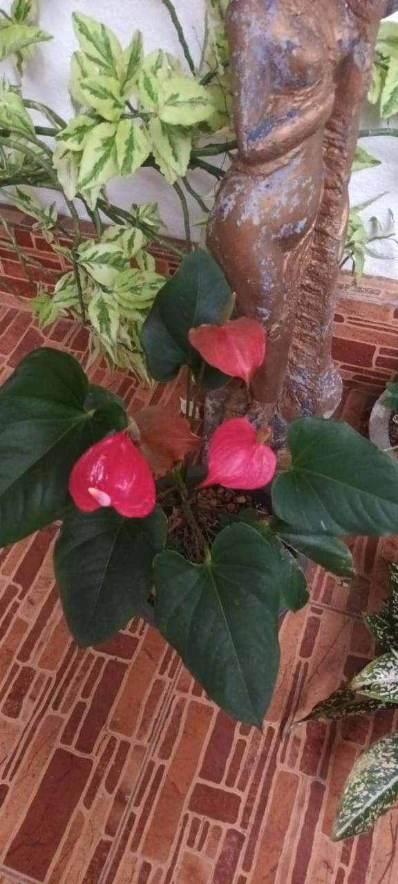 Leisure Home كولمبو المظهر الخارجي الصورة